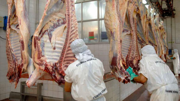 El Gobierno afirma principio de acuerdo con frigoríficos y se reanudarían exportaciones de carne vacuna