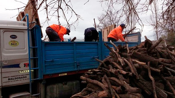 La Municipalidad de San Rafael está entregando leña para combatir la ola de frío