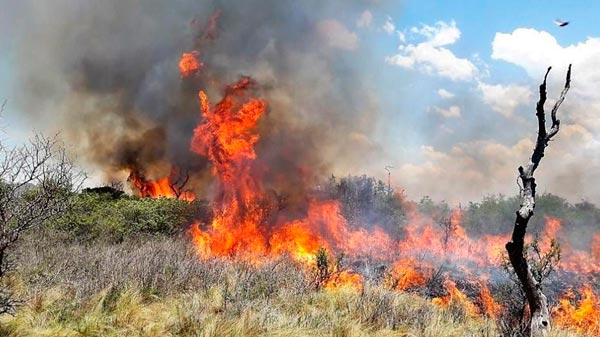 Recuerdan que está prohibida la limpieza de campos a través de la quema