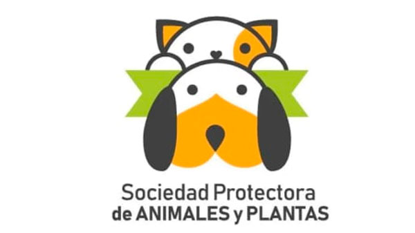 Rifa y feria a cargo de la Sociedad Protectora de Animales para saldar deudas en veterinarias