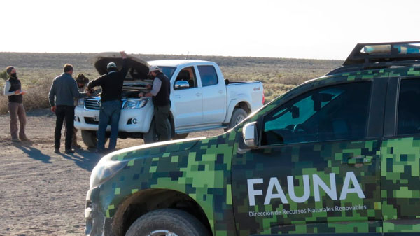 Operativos en San Rafael y Malargüe por caza furtiva