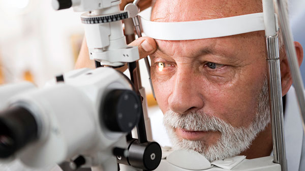 Analizan proyecto relacionado con la prevención del glaucoma