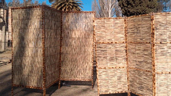 Artesanos de Cañada Seca formaron una Cooperativa y fabrican muebles de caña