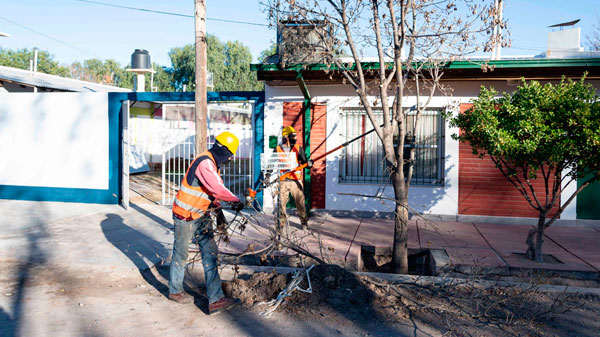 Inicia el Programa Forestando mi Ciudad