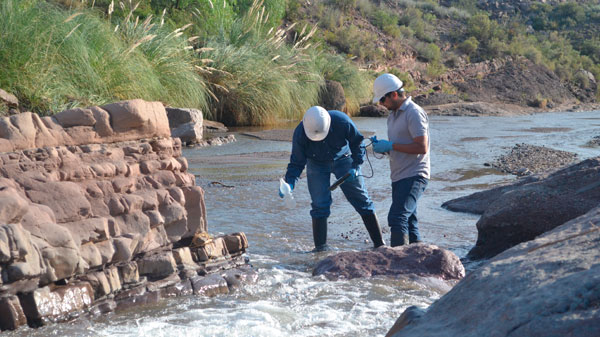 Peces Muertos: desde Irrigación sostienen que no está relacionado con Sierra Pintada