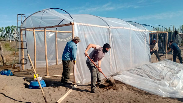 Invernaderos hidropónicos: el proyecto productivo desarrollado como alternativa por la crisis hídrica