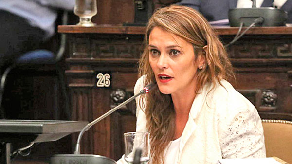 «Nadie está feliz de haber tenido que votar el acuerdo con el FMI» 