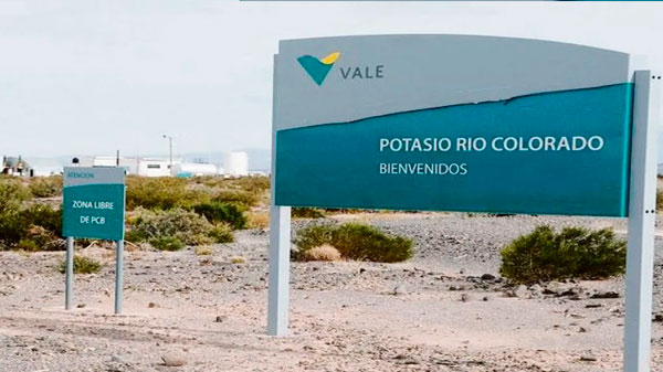 Potasio Río Colorado: comenzó el proceso de búsqueda de inversores