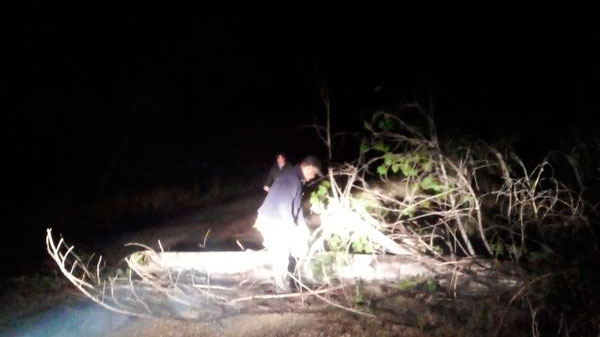 Asistencias por la tormenta de la noche y madrugada