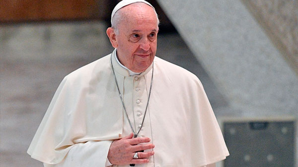 El Papa lamentó que las parejas no quieran tener hijos pero sí “dos gatos y dos perros”