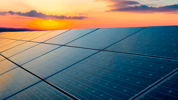 Estos argentinos permiten armar una «quintita solar» anti cortes de luz: cuánto cuesta instalarla