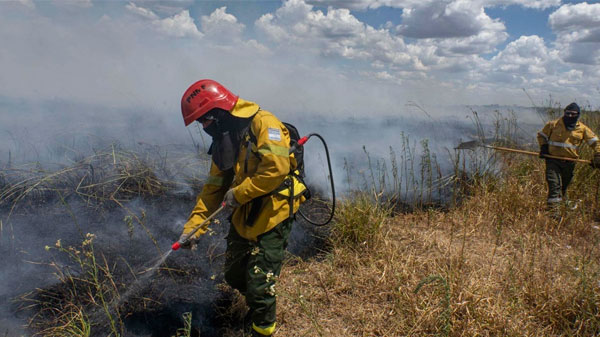 Seguridad concientiza a la población para prevenir incendios forestales