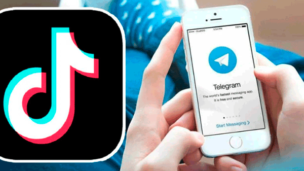 Desactivan cuentas de TikTok y grupos de Telegram por ciberdelitos