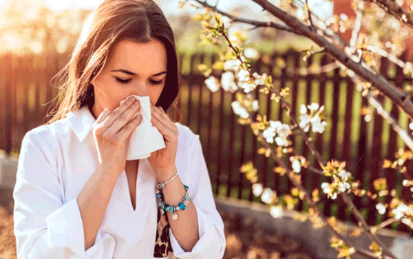 El cambio climático afecta a los alérgicos: los científicos anticipan temporadas de polen más largas