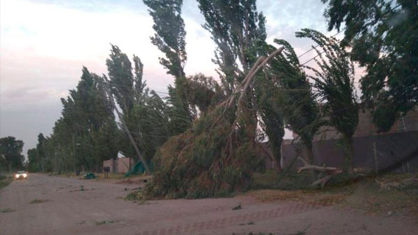 Se esperan fuertes ráfagas de viento para San Rafael y Malargüe