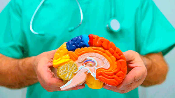11 estrategias para mejorar la salud del cerebro y evitar el Alzheimer