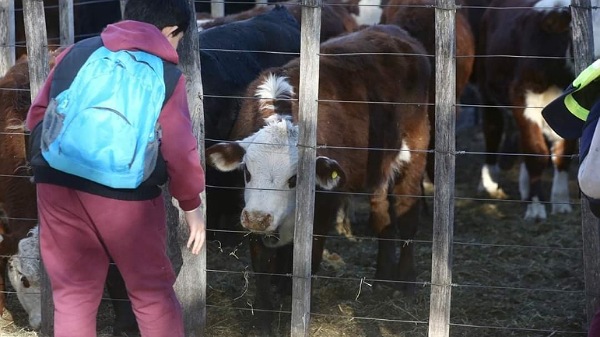 Se puso en marcha la edición 41° de la Fiesta Nacional de la Ganadería