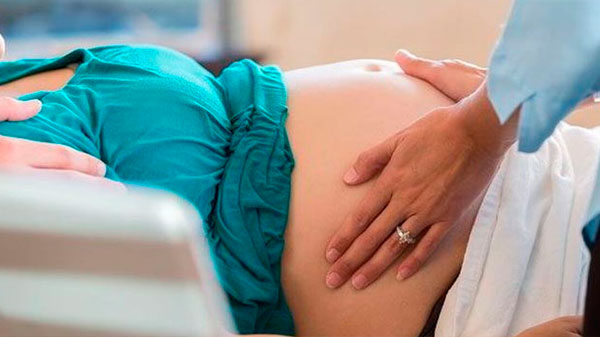 Asignación por maternidad: la nueva opción para el cobro que informó Anses