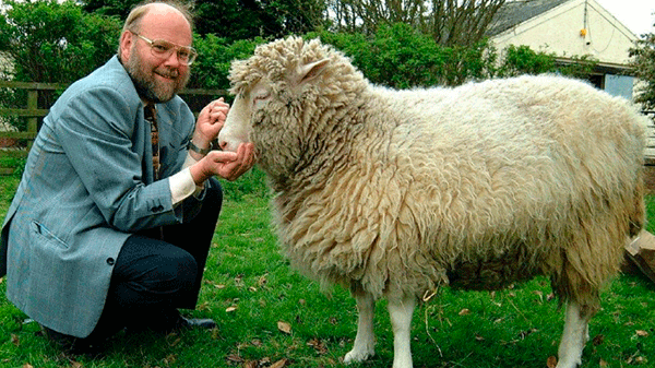 Hace 26 años nacía Dolly, el primer animal clonado del mundo