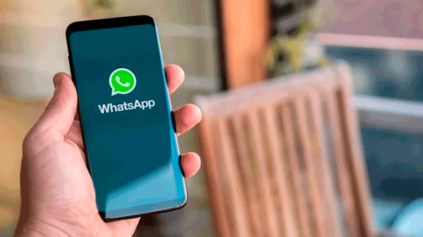 WhatsApp habilita un canal para comprar verduras y frutas