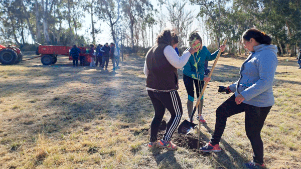 Más árboles para el parque Mariano Moreno