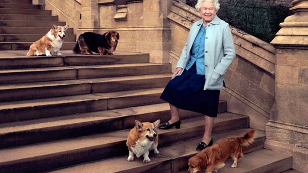 Quién cuidará ahora de los perros corgi de la reina Isabel II