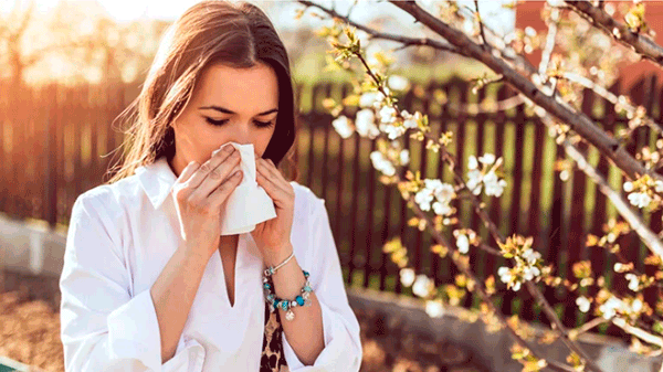 La primavera, el polen y los alérgicos: cómo evitar problemas de salud en el cambio de estación