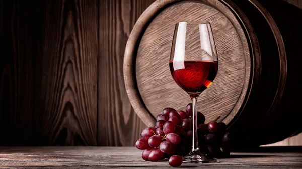 Dos vinos argentinos entre los mejores del mundo, según un prestigioso ranking francés