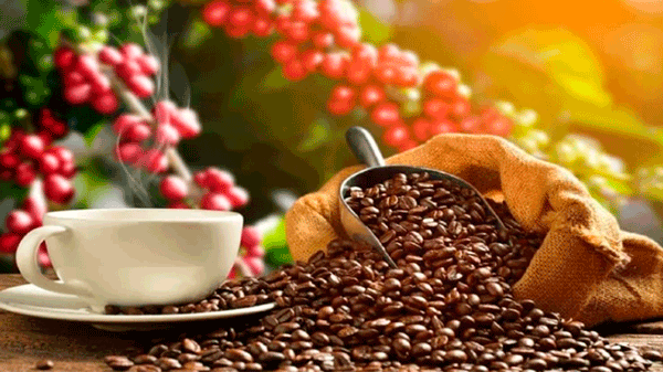 Día Internacional del Café: sabores con expertise para todos los gustos y un mercado en constante evolución
