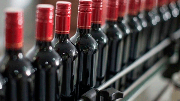 Para el sector vitivinícola no alcanza solo con bajar las retenciones