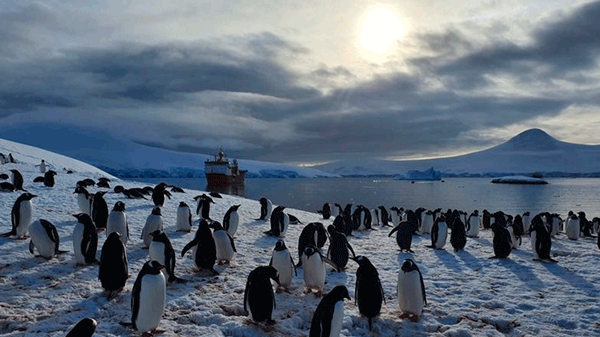 Rodeadas de pingüinos e icebergs: así es pasar la Navidad en la oficina de correos del fin del mundo