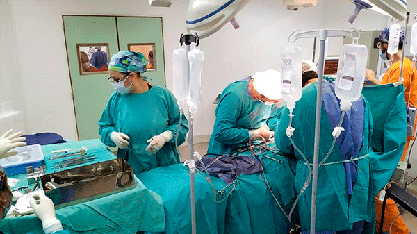 En 2022 se realizaron más de 4000 trasplantes de órganos y córneas