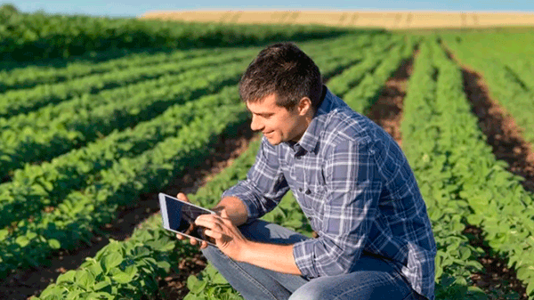 Criptogauchos y productores conectados: explota el agro digital, pero todavía queda una barrera