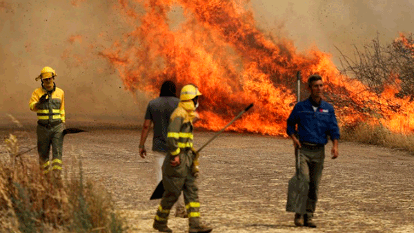Chile: incendios por ola de calor arrasaron cerca de 750 hectáreas