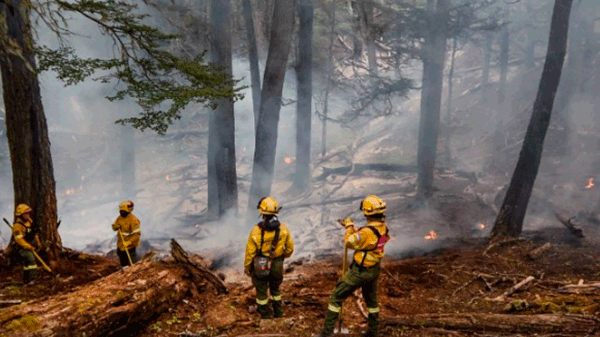 Decretaron estado de catástrofe en regiones de Chile afectadas por incendios forestales