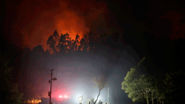Incendios forestales en Chile dejan 24 fallecidos y casi 1.000 heridos