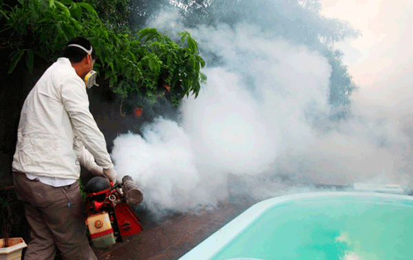 Paraguay en alerta: acumula más de 24 mil casos de chikungunya