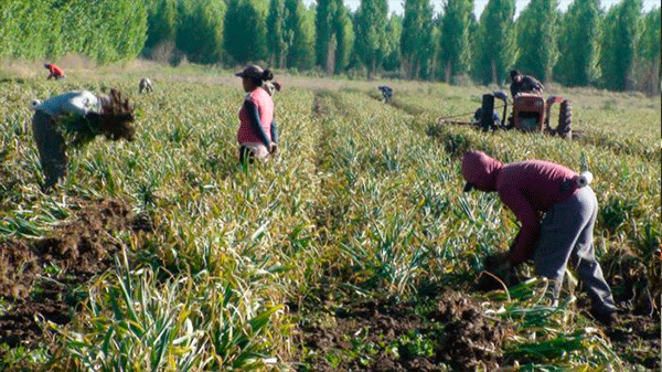 Entraron en vigencia las nuevas medidas para los productores afectados por las contingencias climáticas