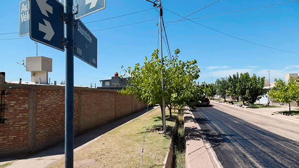 El asfalto no para: Se pavimenta el barrio Vélez Sarsfield