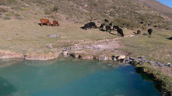 Quieren declarar área natural protegida la laguna El Sosneado