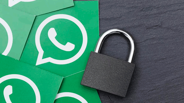Cómo controlar tu privacidad en WhatsApp: éstas son las funciones que debés conocer