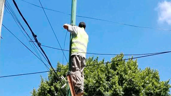 Sancionarán a los políticos que aparezcan en carteles atados a postes de luz y árboles