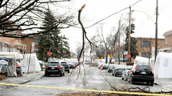 Tormenta de hielo en Canadá: dos personas muertas y más de un millón sin electricidad