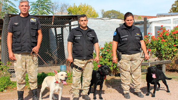 Tres canes se suman a la lucha contra el narcotráfico