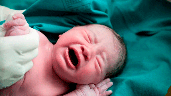 Nació el primer bebé con ADN de tres personas: cómo es el método para prevenir enfermedades incurables