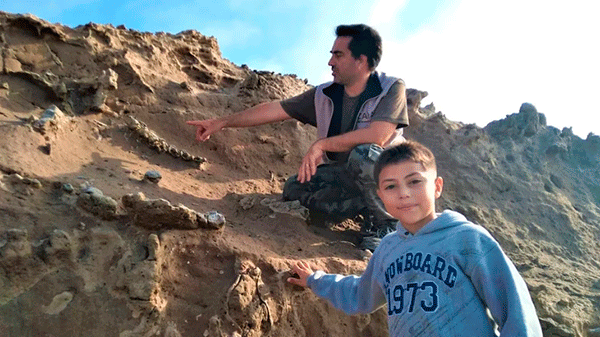 Tiene 8 años, es fanático de los dinosaurios y encontró fósiles de la Edad del Hielo en Miramar