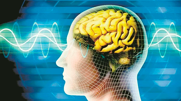 Implantes de chips en el cerebro: la nueva tecnología que parece ciencia ficción, pero ya se prueba en EE.UU.