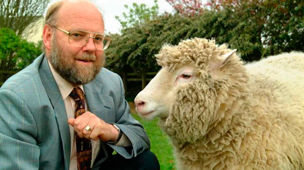 Murió Ian Wilmut, el padre de la oveja Dolly: fue el primer científico en clonar un mamífero