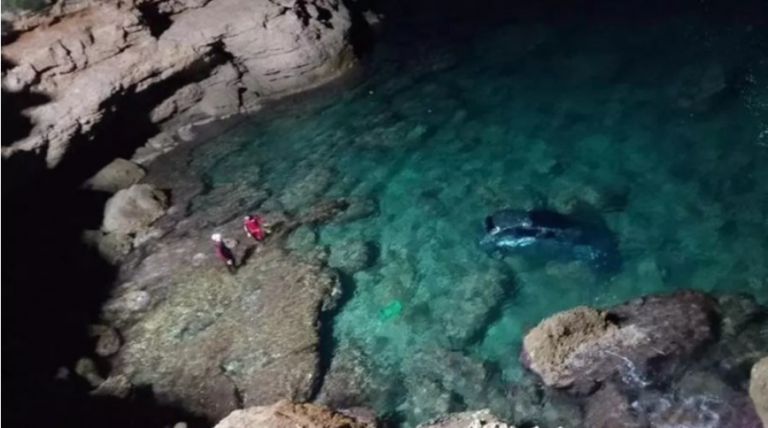 España: un auto «voló» al mar por un acantilado y se abrió una causa por homicidio