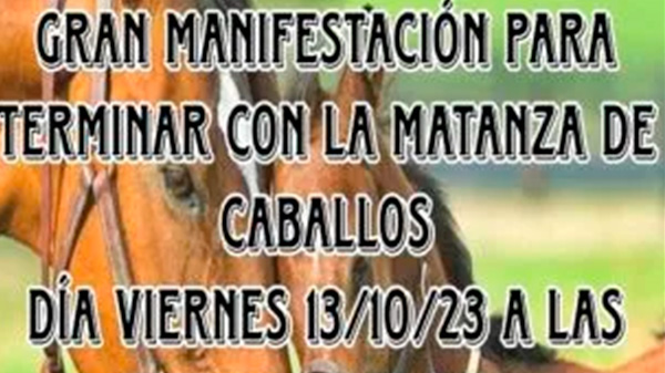 Habrá una manifestación contra la matanza de animales